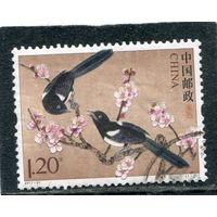 Китай. Фауна. Сороки