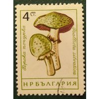 Болгария 1961 грибы 1 из 8.