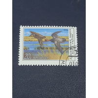 СССР 1990г. Красноносый нырок.