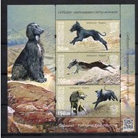 Кыргызстан 2016. Охотничьи собаки. Волк  блок (612)