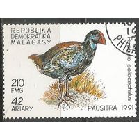 Республика Мадагаскар. Птицы. Султанка. 1991г. Mi#1334.