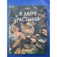 В мире растений