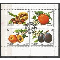 Шарджа. Фрукты. 1972г. Mi#1220-23. Кв.блок.