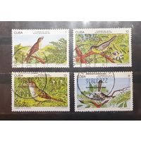 Куба. 1978 год. Фауна. Птицы (428)