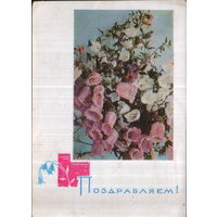 Подписанная открытка 1967г. "Поздравляем! Колокольчики" фото Г. Костенко, худ. П. Вьюев