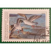 СССР 1990. Фауна. Обыкновенный гоголь