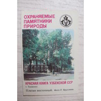 Календарик, 1987, Платан восточный. Красная Книга Узбекской ССР. Охраняемые памятники природы.