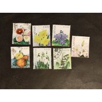 Латвия  2016 7 м цветы