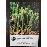 Календарик Прибалтика Плаун