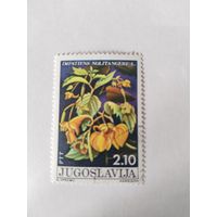 Югославия 1975   цветы