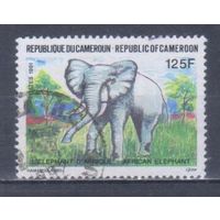 [2125] Камерун 1991. Фауна.Африканский слон. Гашеная марка.