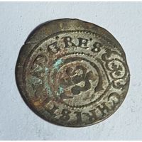 Красивый сосед