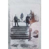 Фото в коллекцию