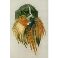 Открытка "Собаки"