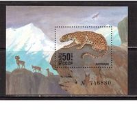 СССР-1985, (Заг.Бл.188) ** , Фауна