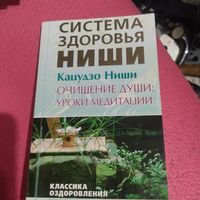 Кацудзо Ниши.   Очищение души: уроки медитации.