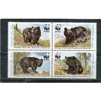 Пакистан. Фауна. Гималайский медведь. Квартблок