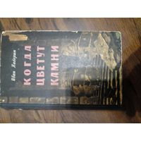 Иван Падерин "Когда цветут камни" 1961