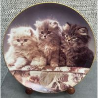 Фарфоровая тарелка EXTEC EDITION Германия. Радость для всех котят. Из серии Мурлыкающие кошачьи любимцы. 20.5 см