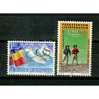 Лихтенштейн - 1994 - Олимпийские игры. Футбол - 2 марки. MNH.  (Лот 3JH)-TG2P25