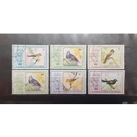 Куба. 1986 год. Фауна. Птицы (431)