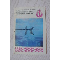 Календарик, 1981, ОСВОД; изд. Минск.