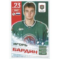 Игорь Бардин / Коллекция "Ак Барс Казань 2025-206"