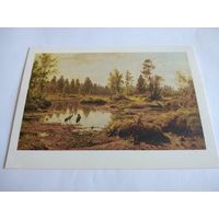 Открытка. И. Шишкин. Палесский пейзаж.