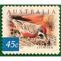 Австралия 2001. Фауна. Птицы. Crimson Chat