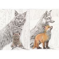 Беларусь 2024 Детеныши зверей (4 шт. комплект) (худ. Митянин) (к5)