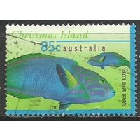 Остров Рождества. Рыбы. Таласома. 1997г. Mi#429.