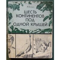 Шесть континентов под одной крышей. Андрей Батуев. 1972.