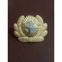 Кокарда Гражданская Авиация СССР