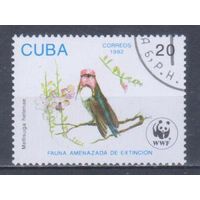 [806] Куба 1992. Фауна.Птицы.Колибри. Гашеная марка.
