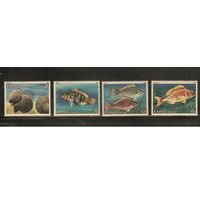 Греция-1981(Мих.1456-1459) , **  , Морская Фауна,, Рыбы, Раковины(полная серия)