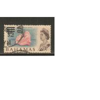 Багамы-1966(Мих.248) , гаш.  , Морская  Фауна, Раковины, Надп.