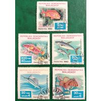Мадагаскар 1982. Рыбы. Полная серия
