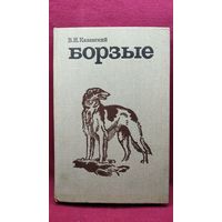 В.И. Казанский  Борзые