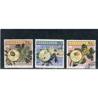 Австралия. Австралийская флора