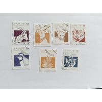 Сахара  1992 7м