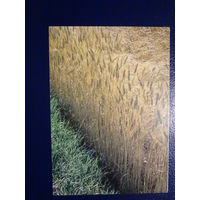 Календарик 1997 г.  Белагропромкомплект.