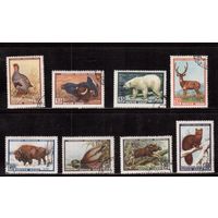 СССР-1957, (Заг.1906-1913), гаш.(с клеем), Фауна, полная серия(1)