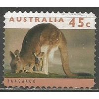 Австралия. Кенгуру. 1994г. Mi#1403.