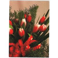 Беларусь. Почтовая карточка без в/д