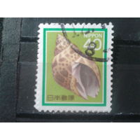 Япония, 1988. Ракушка