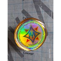 Значок Белорусская общественная организация СПАСАТЕЛЬ ветеранов МЧС