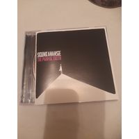 SKUNK ANANSIE "THE PAINFUL TRUTH"  "  CD 2025