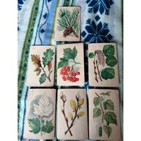 Старые карточки