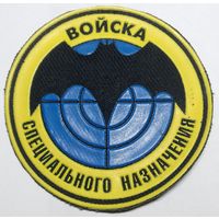 Спецназ ВС РФ