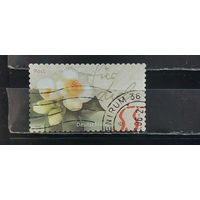 РАСПРОДАЖА ГЕРМАНИЯ 2004г. Полная серия. Гаш.